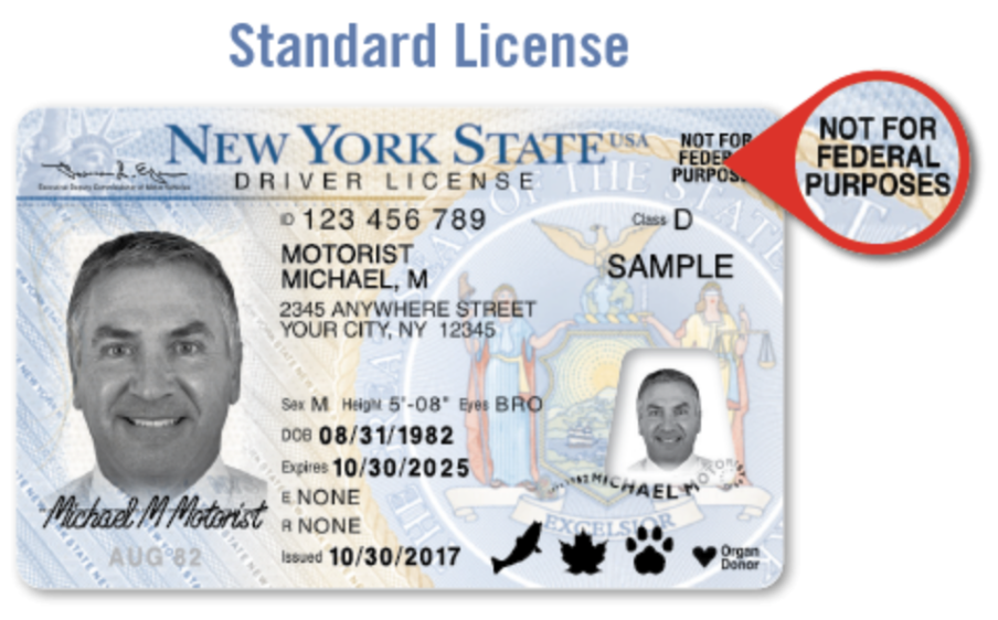 Since the passage of the Green Light Law in 2019, more than 750,000 undocumented immigrants are eligible for a standard driver's license. 