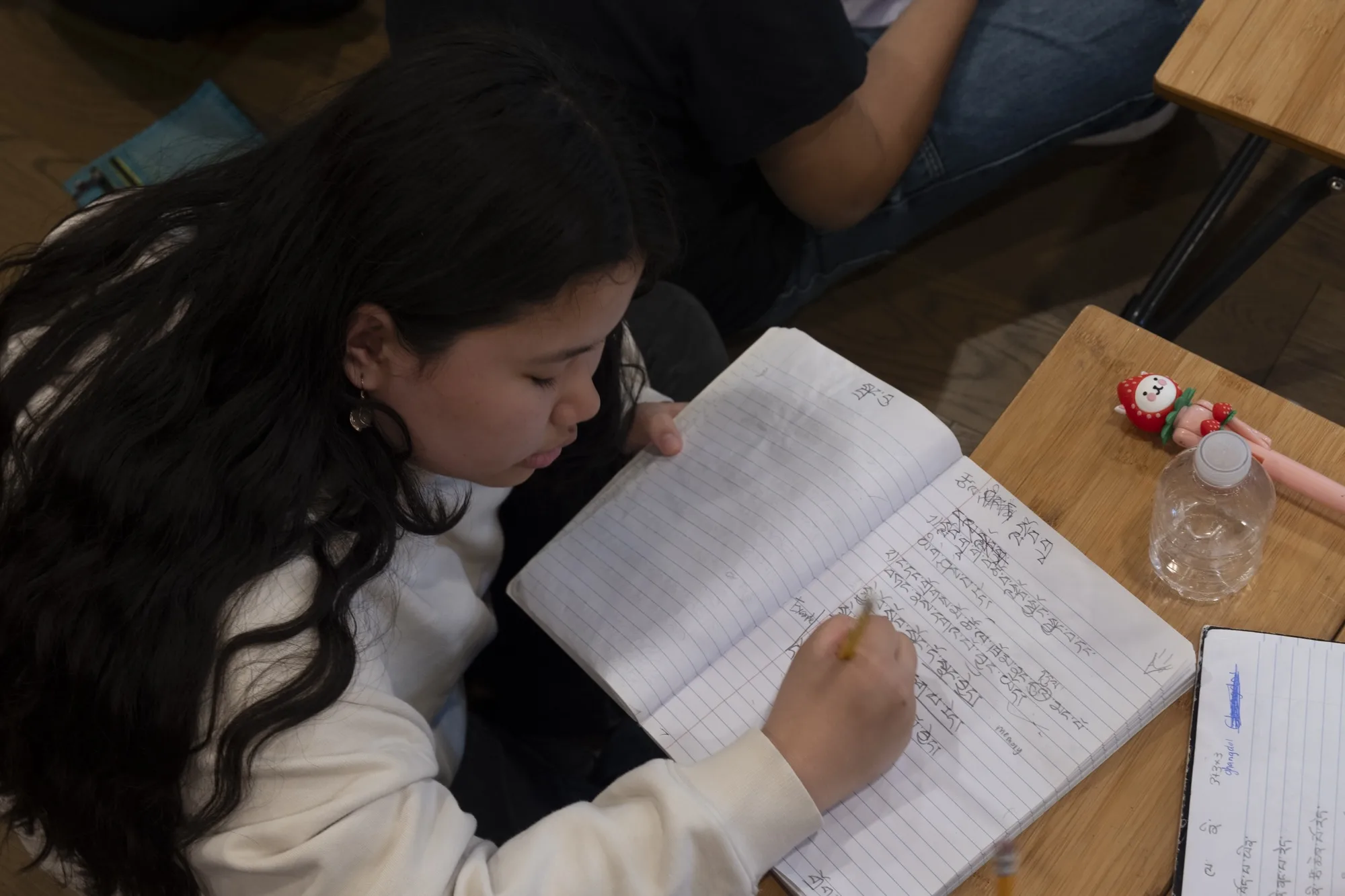 
            Student practices writing Tibetan sentences in a notebook at the Danang Tibetan School.