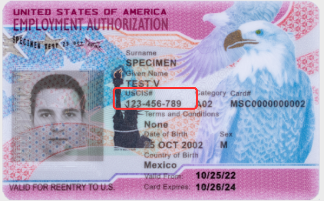Lost Your USCIS A-Number? Find It With This Guide